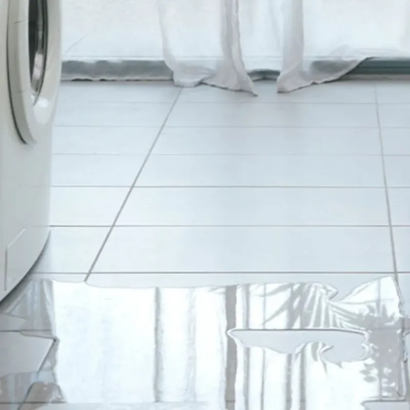 Appliance Leak Cleanup in Hilbert, WI