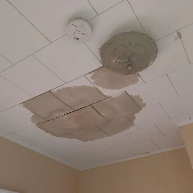 Ceiling Water Damage Repair in Hilbert, WI