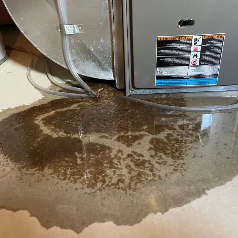 Pipe Burst and Leak Restoration in Hilbert, WI