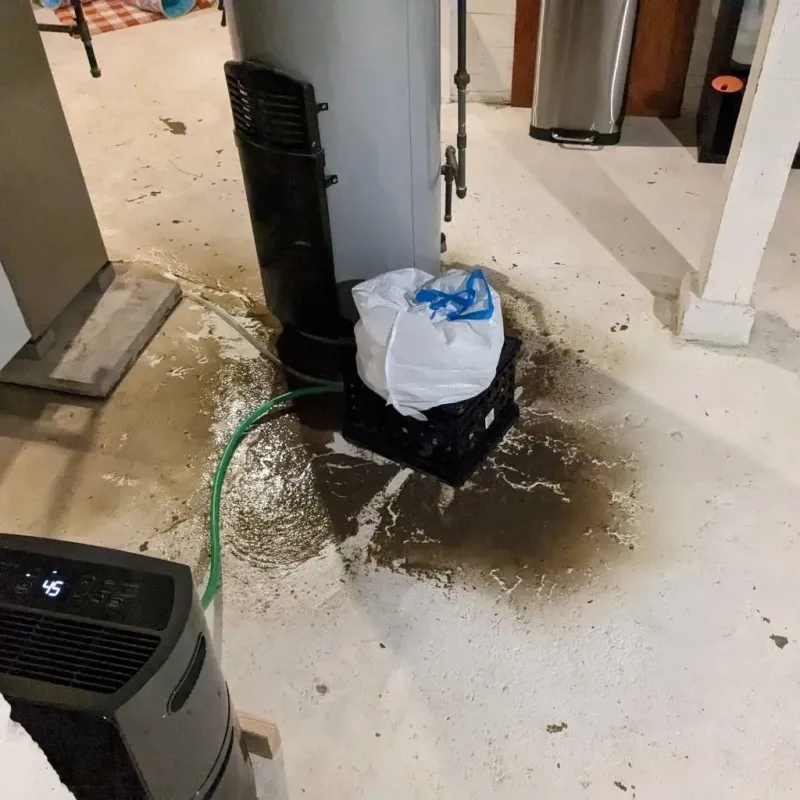 Sewage Backup Cleanup Service in Hilbert, WI